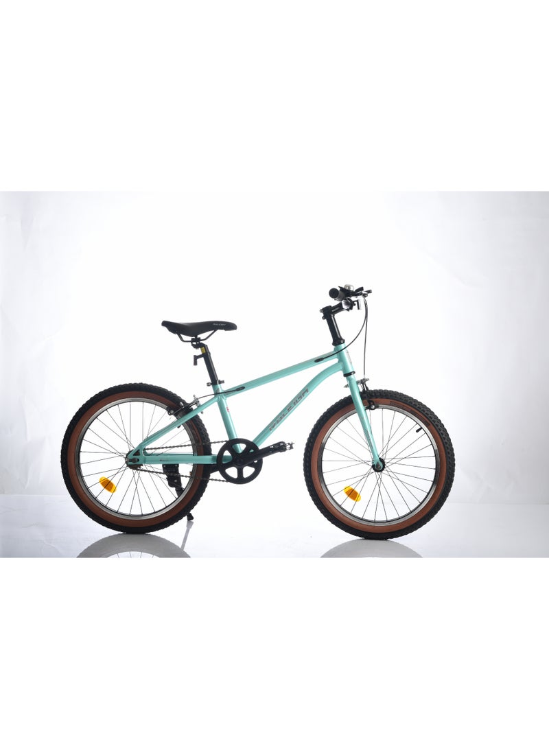 Raleigh POP 20 Inch alloy frame single speed - Image 3